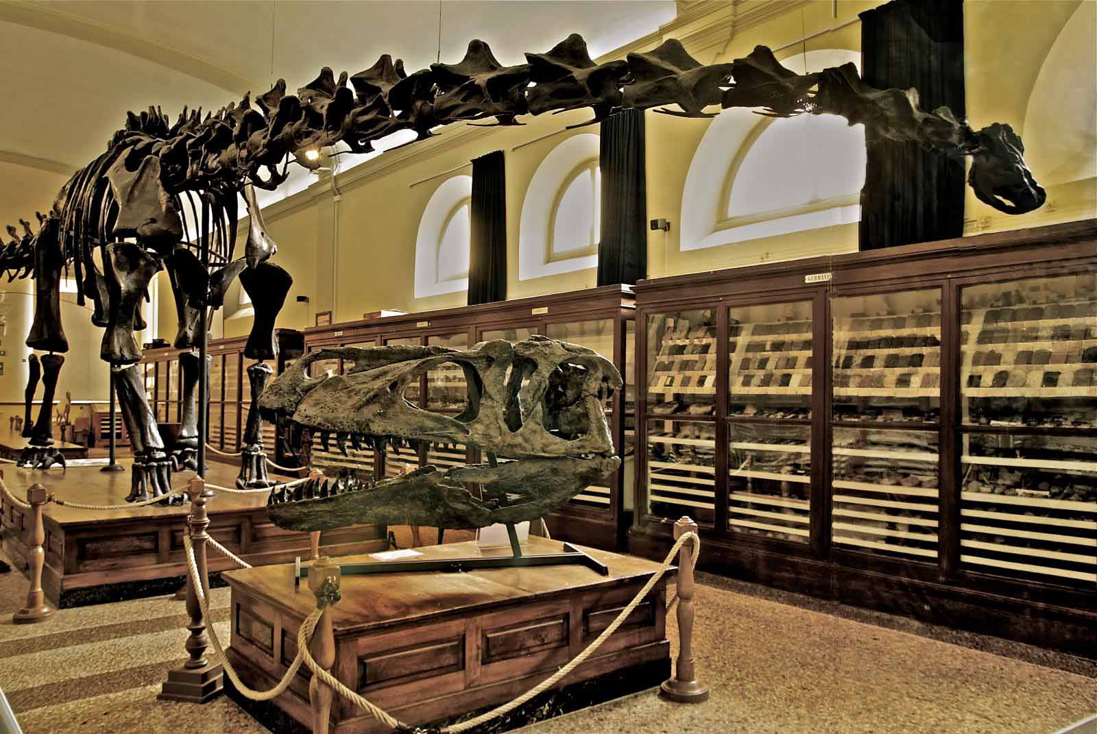 museo geologia bologna