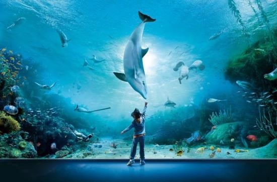 acquario